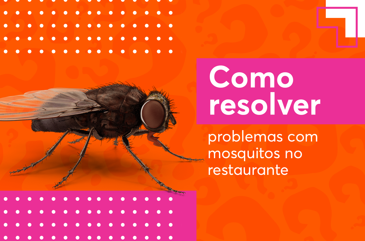como resolver problema com mosquitos e moscas no restaurante